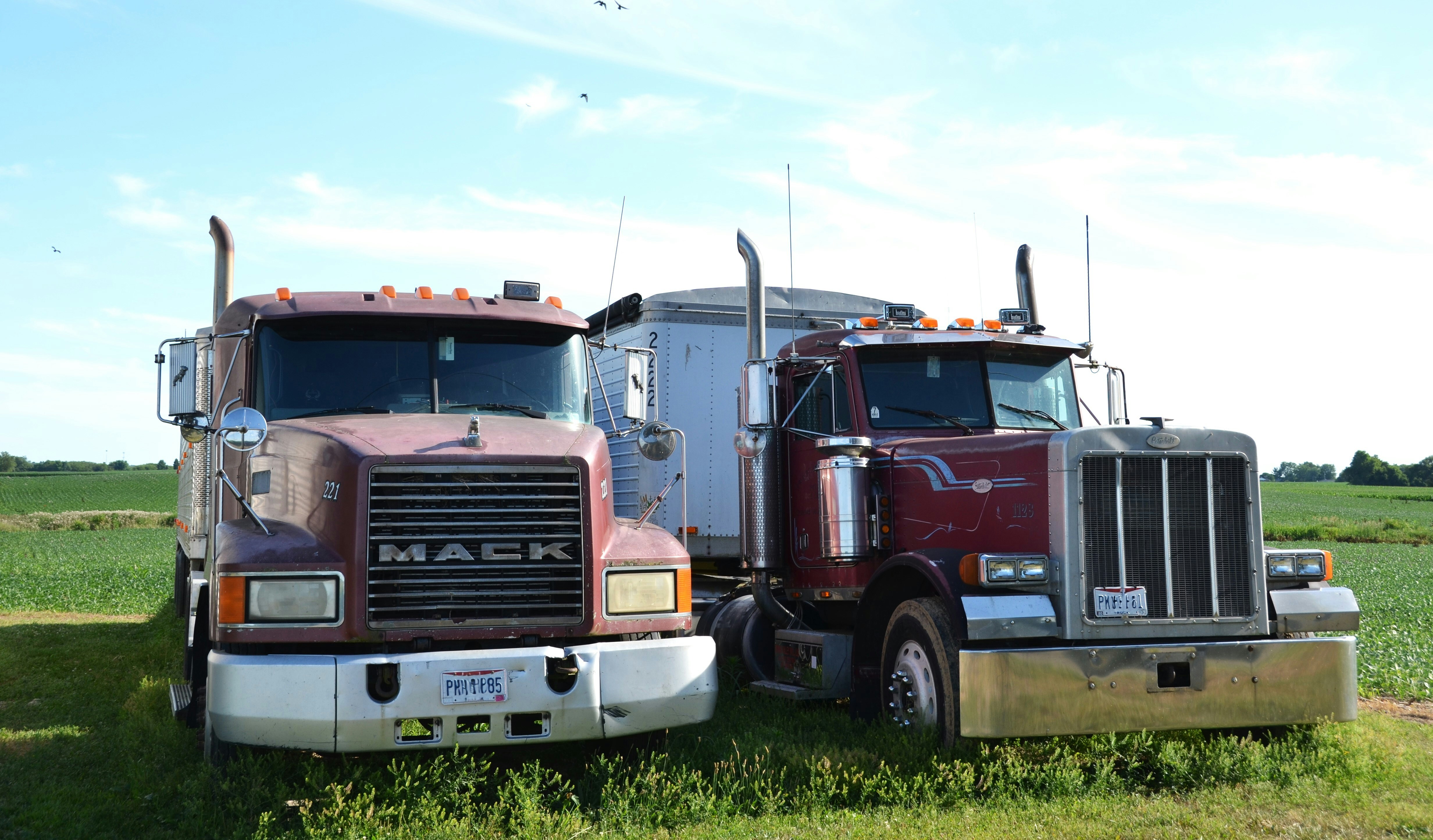 Roger starnes sr Vcz TCO Bd Qsc unsplash