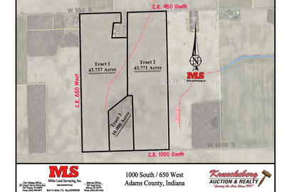 Land auction 2