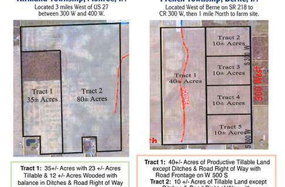 Land auction 6