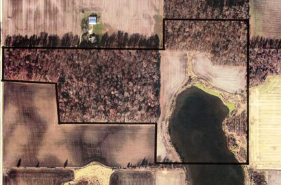 Land auction 4