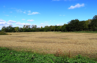 Land auction 12