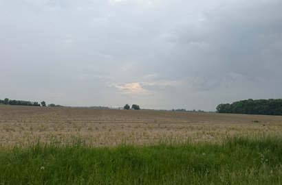 IMG 7455