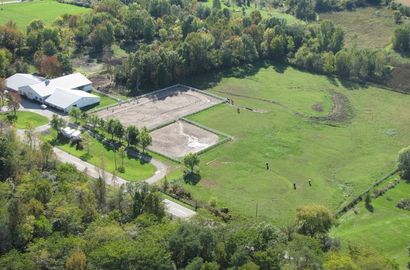 Real estate auction 1