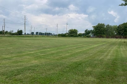 Remote image