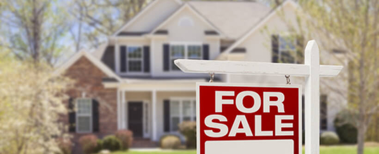 Service real estate