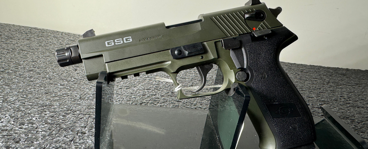 Federal firearms auction