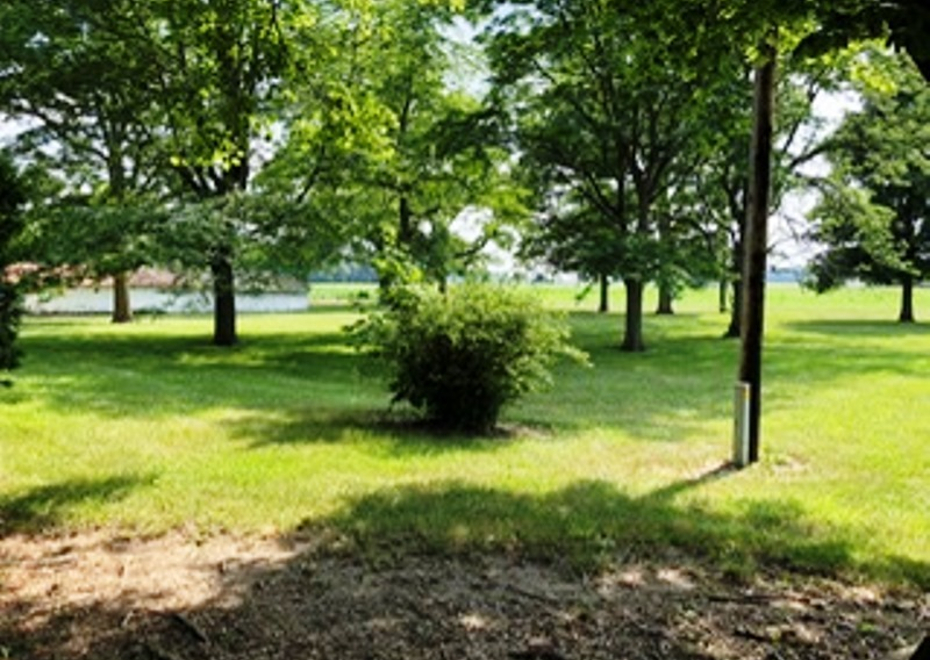 Orchard