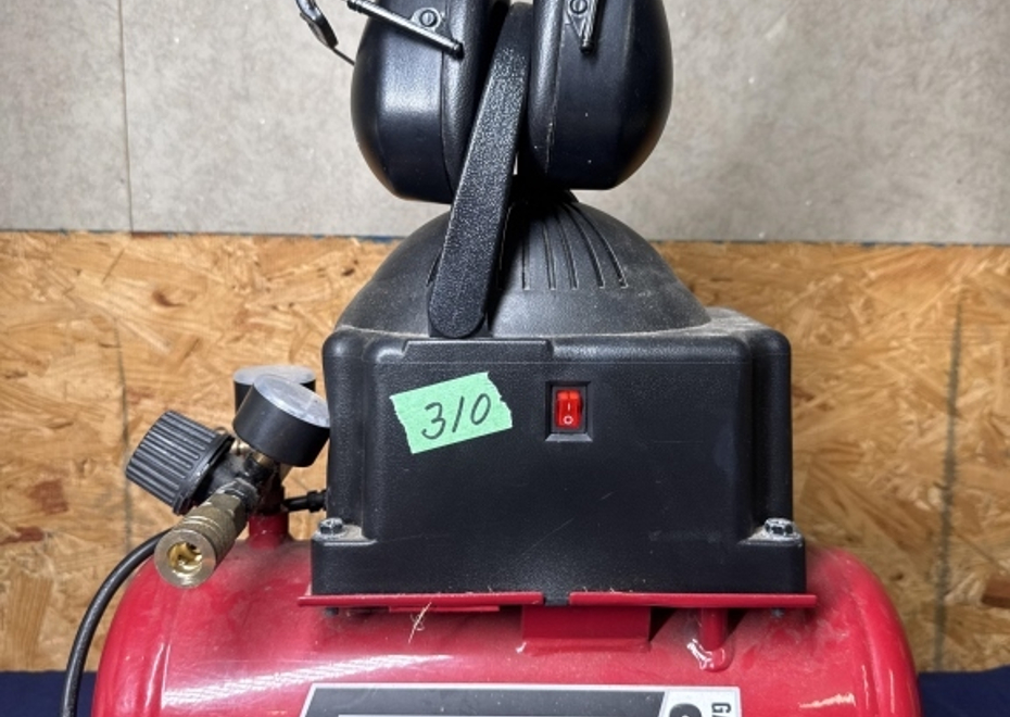 310