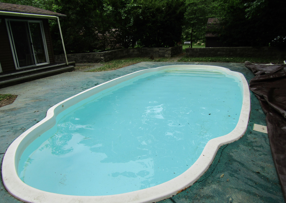 IMG 7982