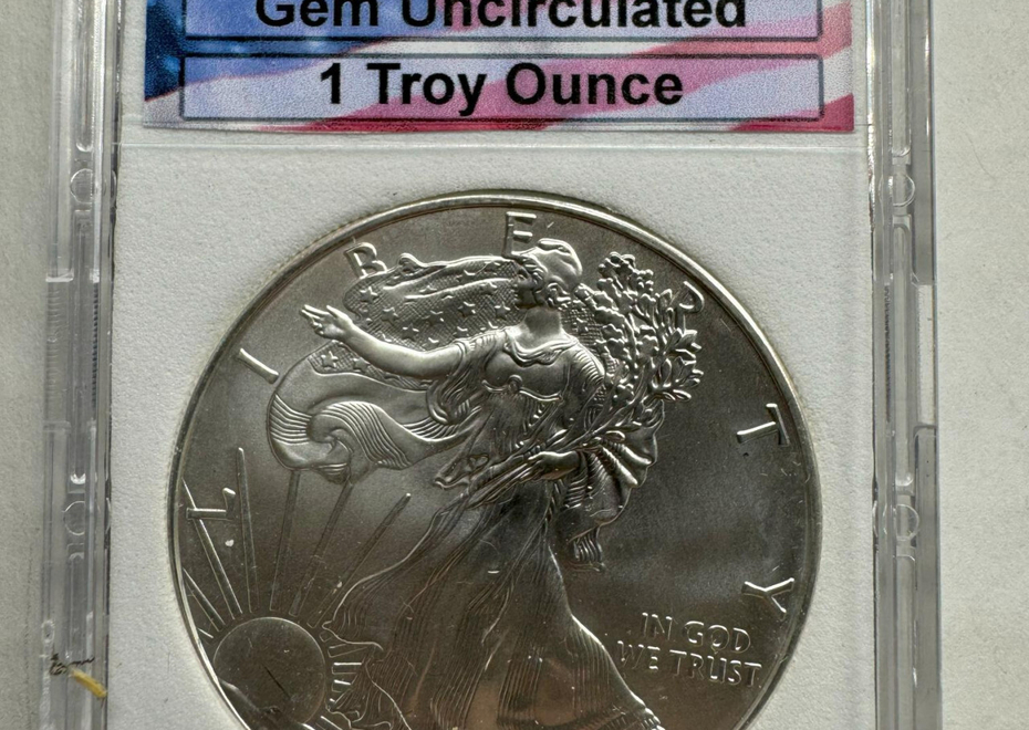 293 1