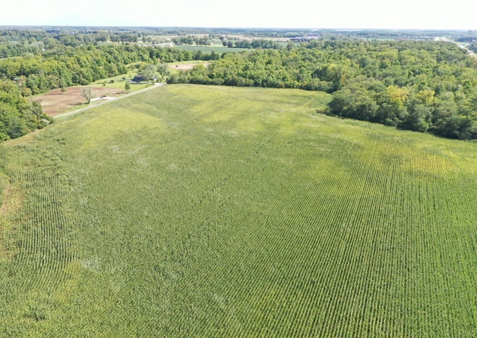 DJI 0965