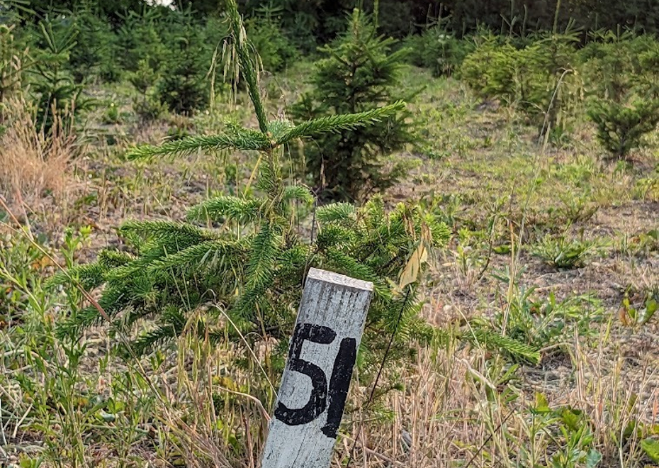 13 1