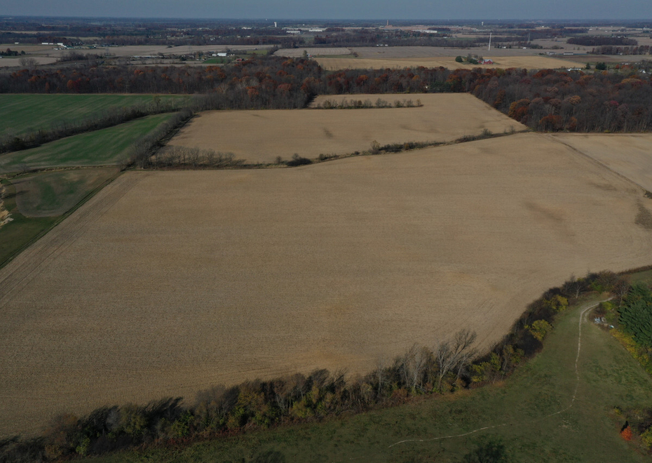 DJI 0300
