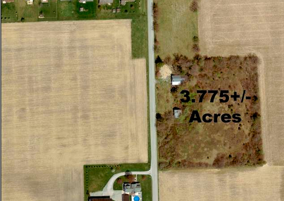 Land auction 7
