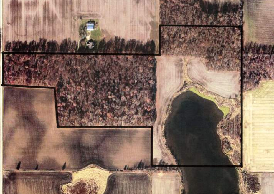 Land auction 4