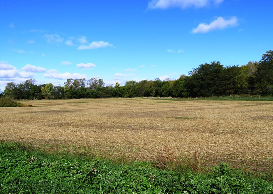 Land auction 12