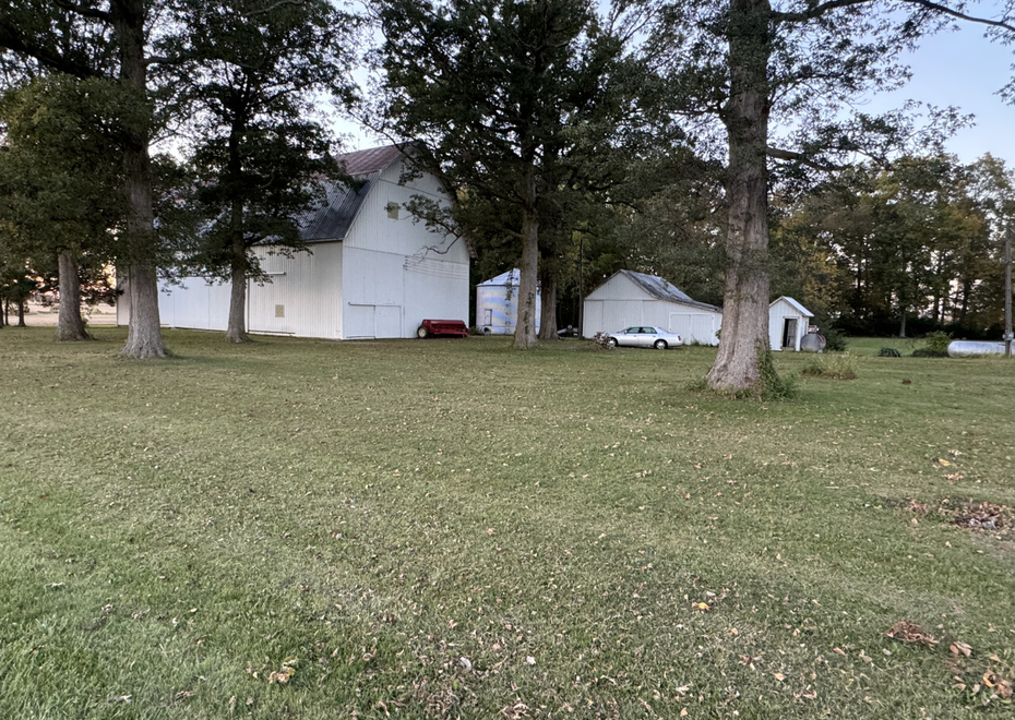 IMG 1645