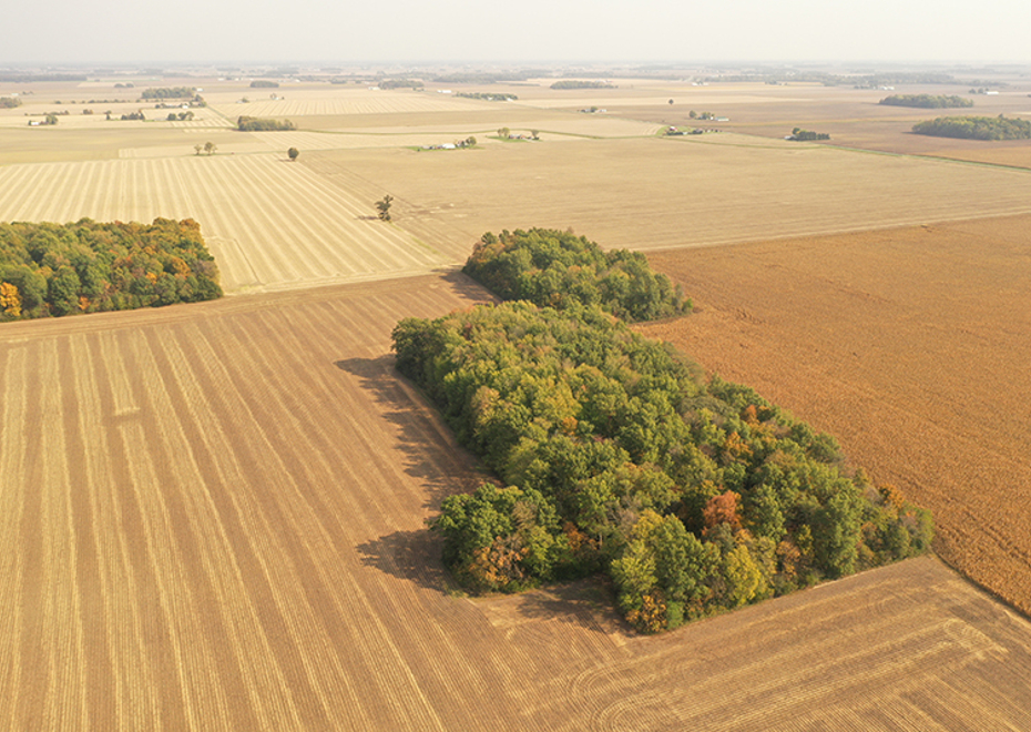 Van wert