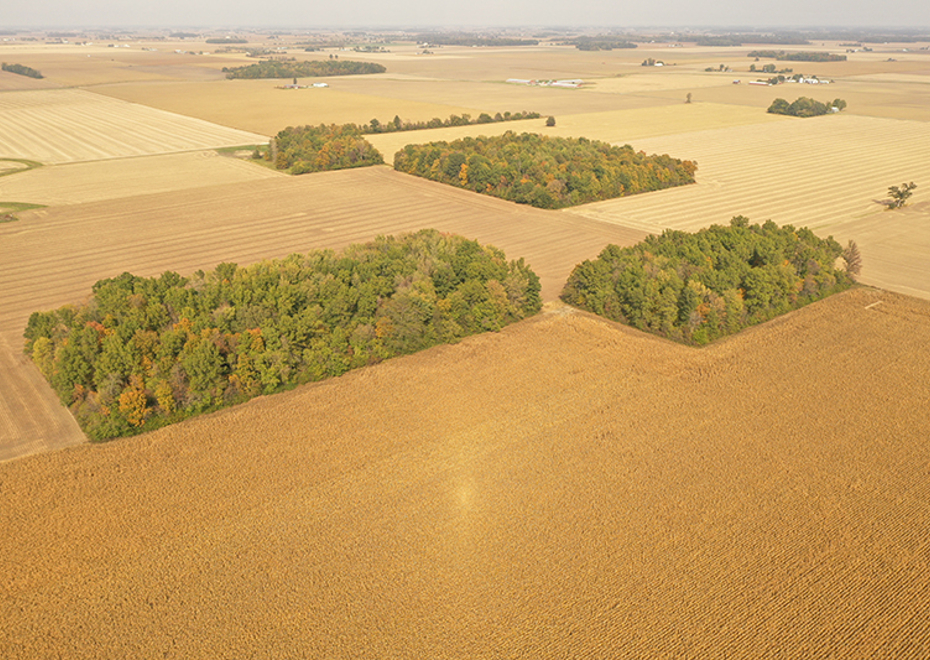 Van wert 3