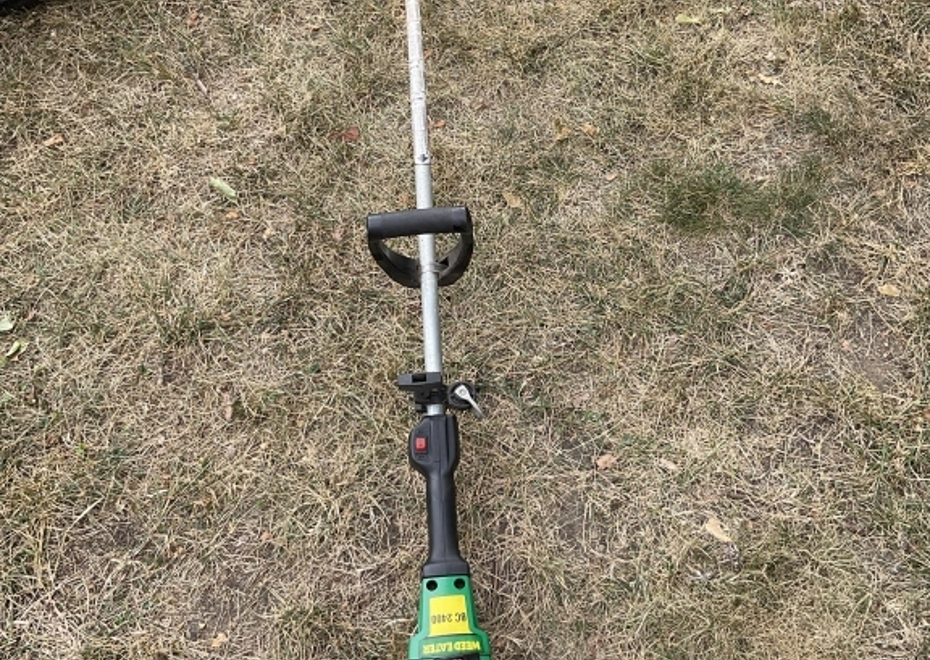 231