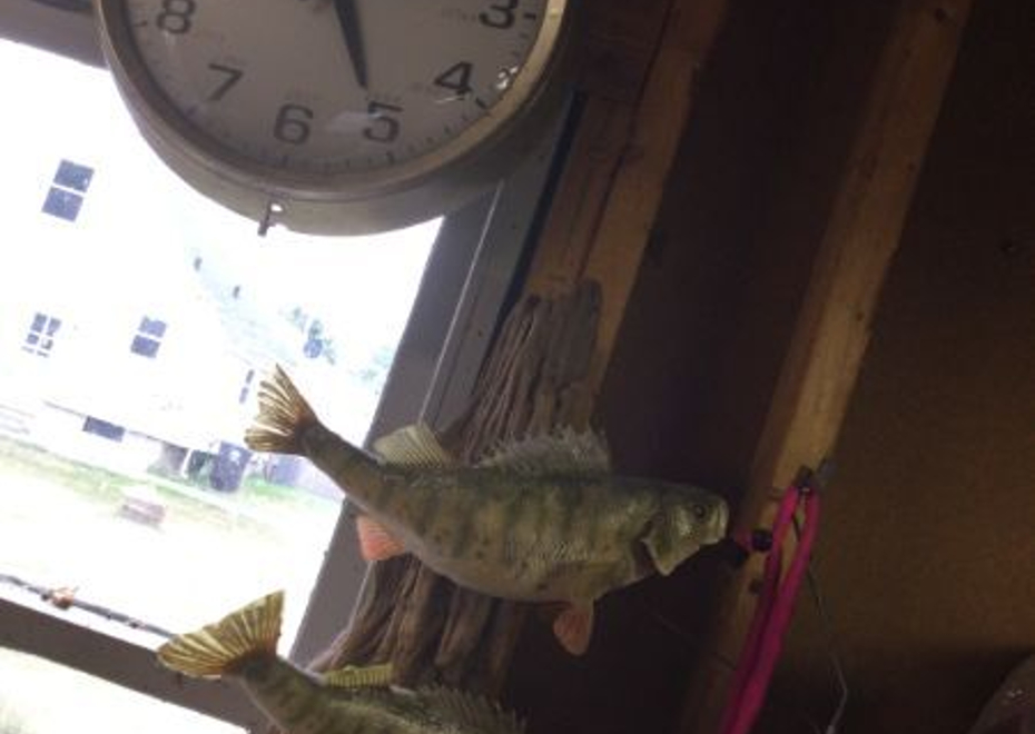 269 1