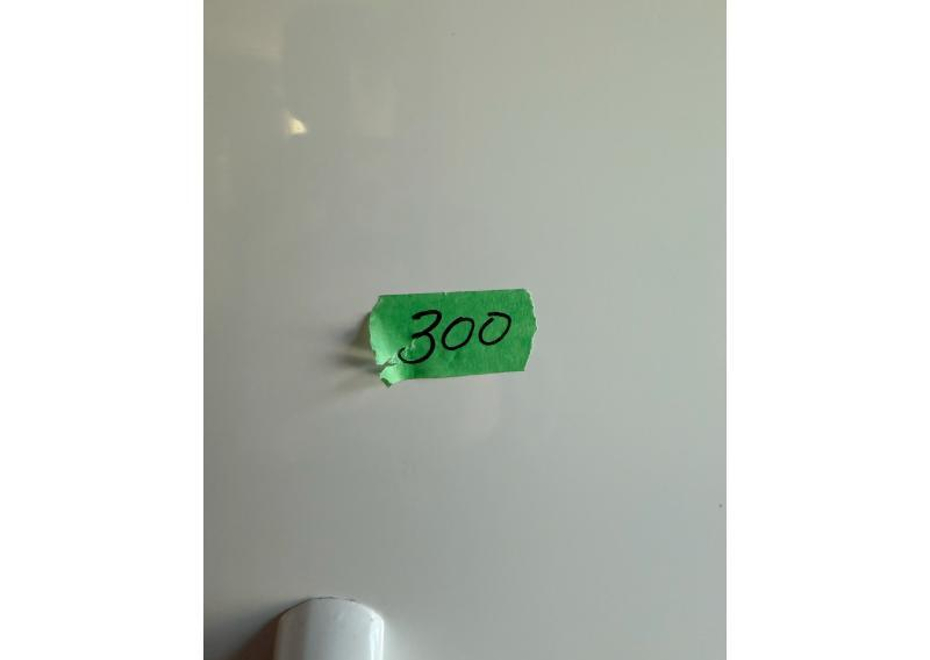 300 1