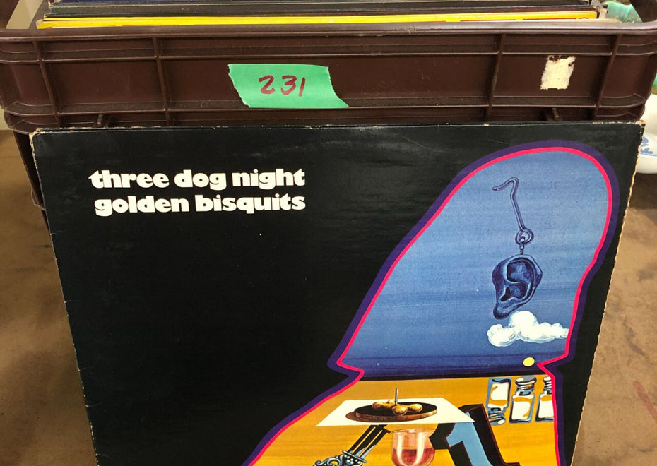 231 1