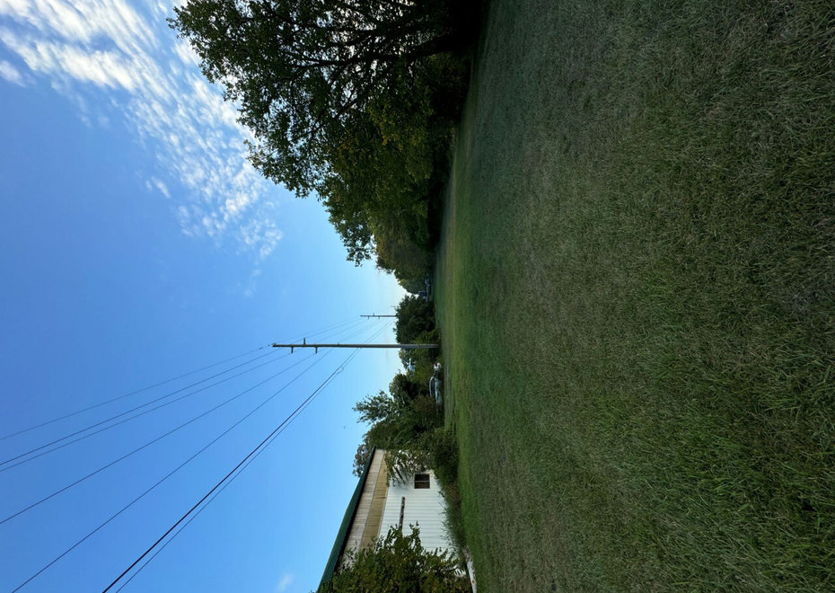 IMG 0955