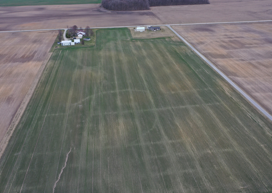 DJI 0413