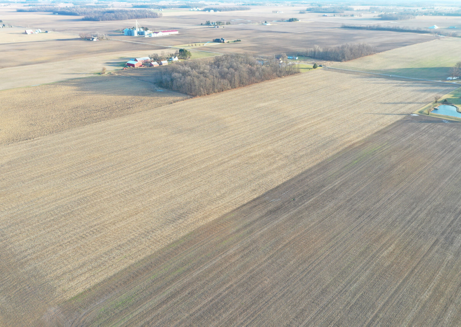 DJI 0346