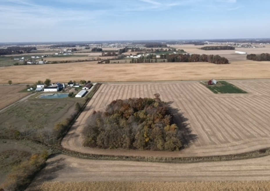 Dji fly 20221021 104206 613 1666363354010 photo