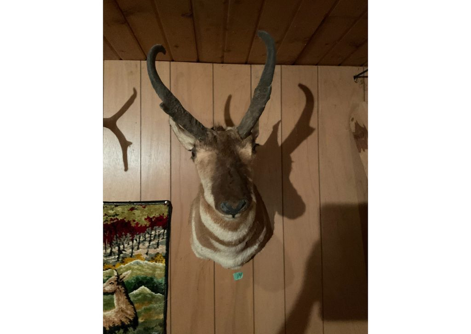 114 1