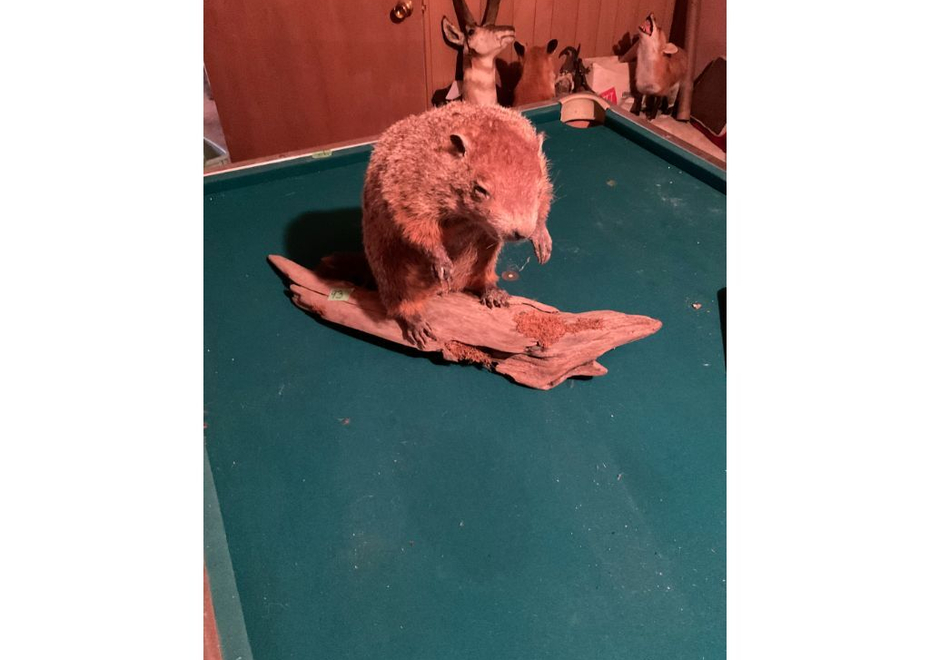93 1