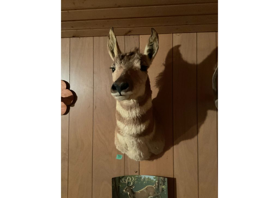 97 1
