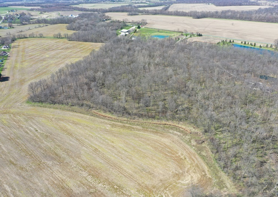 DJI 0861