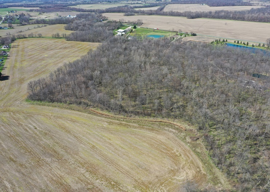 DJI 0862