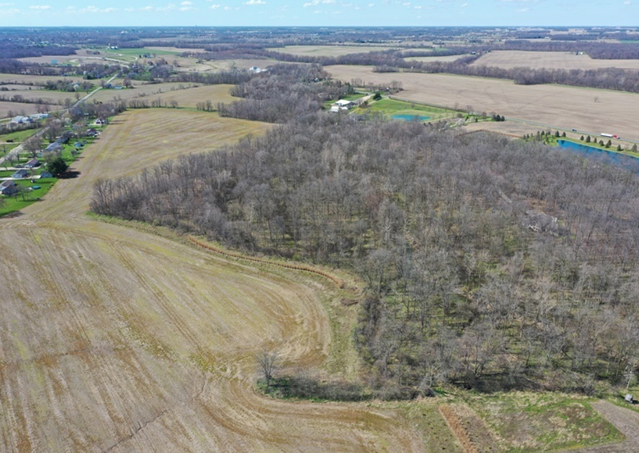 DJI 0863