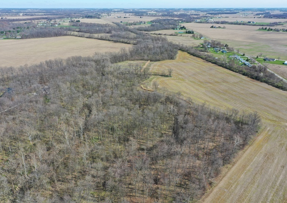 DJI 0865
