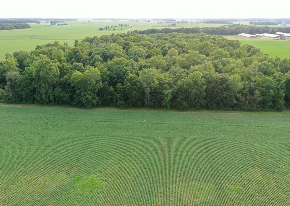 DJI 0686