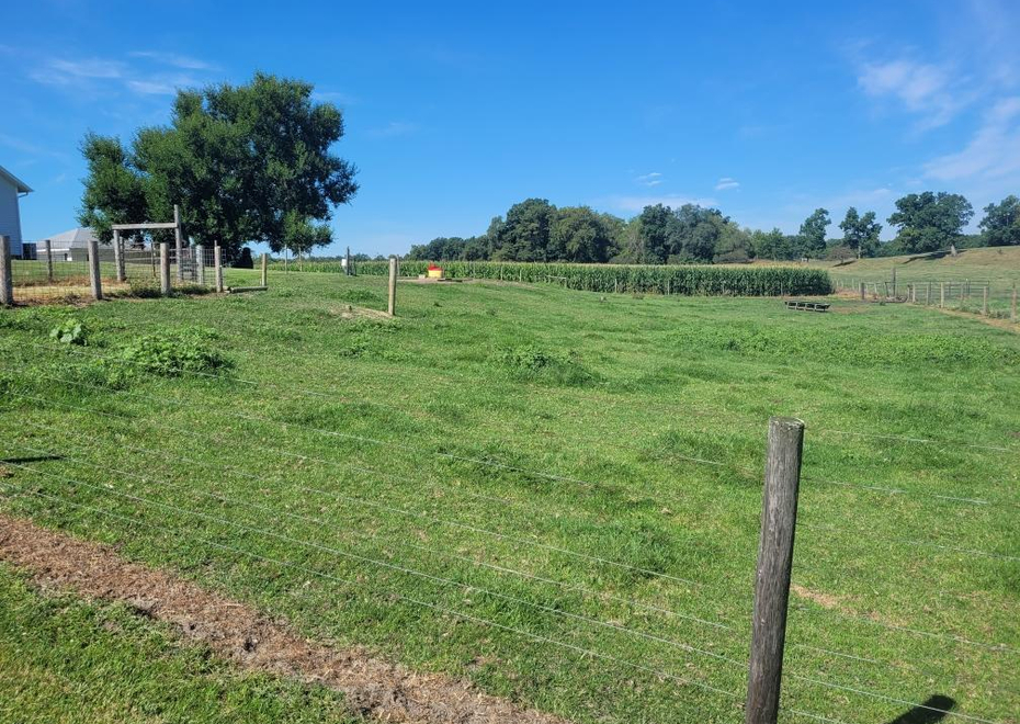 Resized 20230813 105827