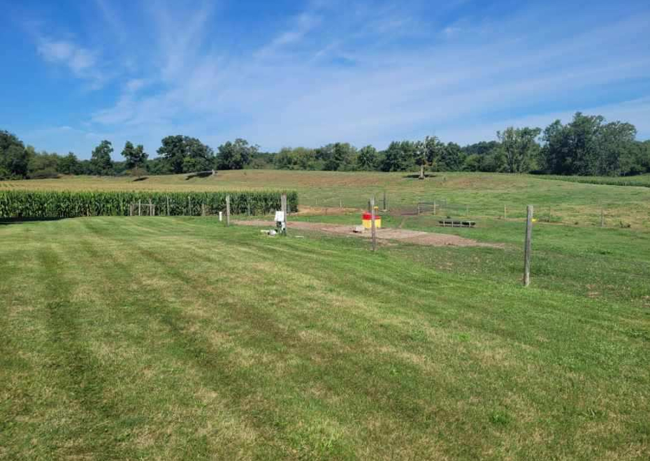 Resized 20230813 105858