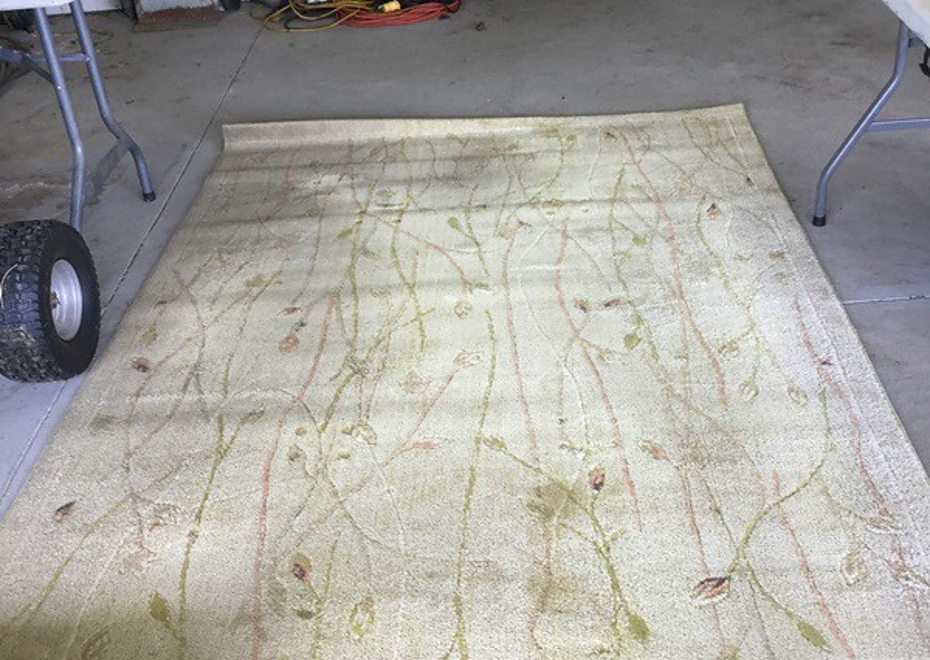 10521 hoffman rd 104