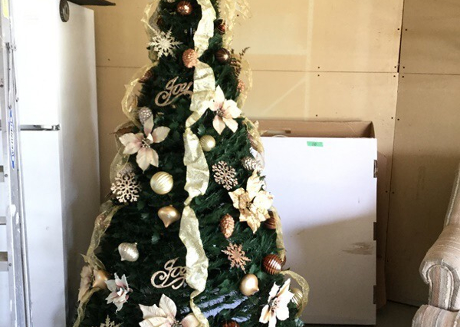 10521 hoffman rd 166