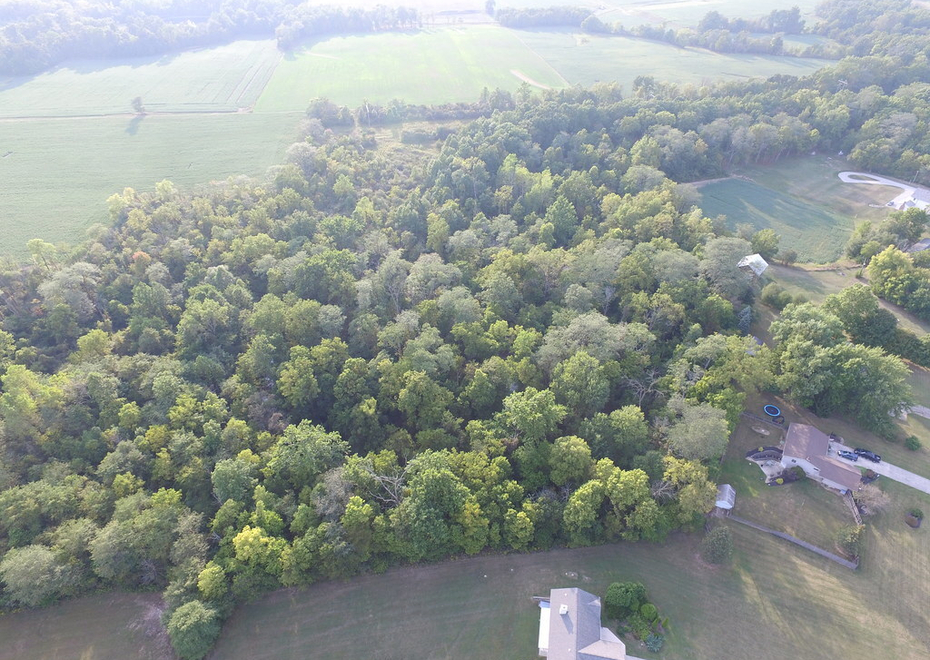 Winchester road auction25