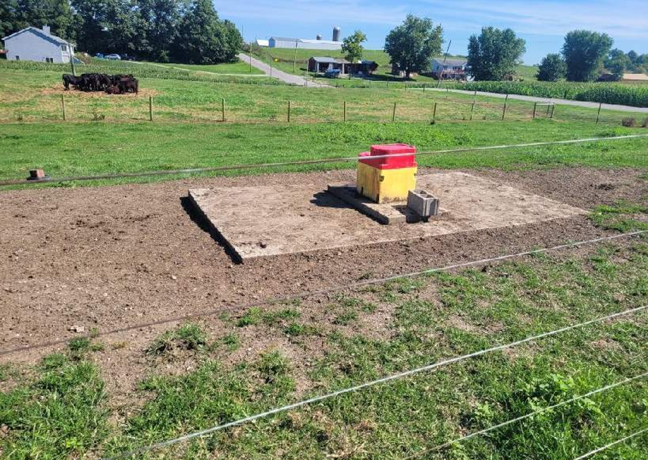 Resized 20230813 105929