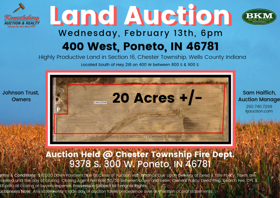 Land auction 3