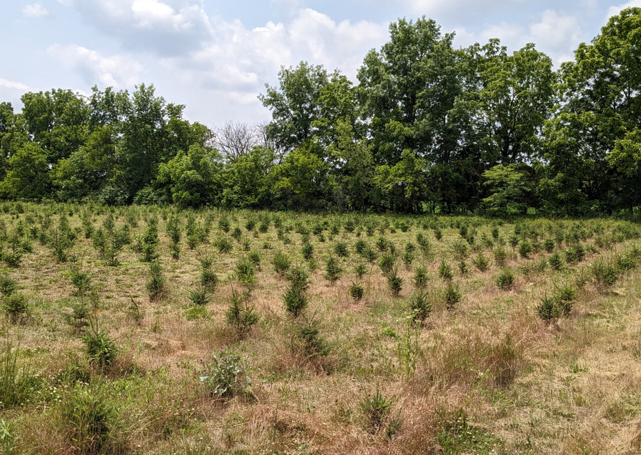 PXL 20230614 175359242