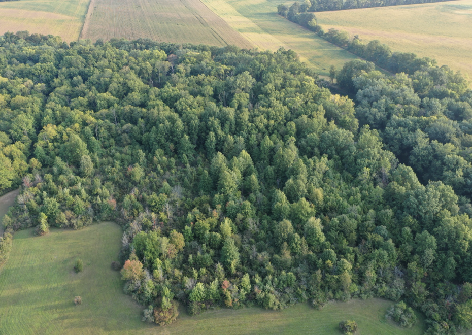 Screen Shot 2021 09 14 at 3 21 47 PM