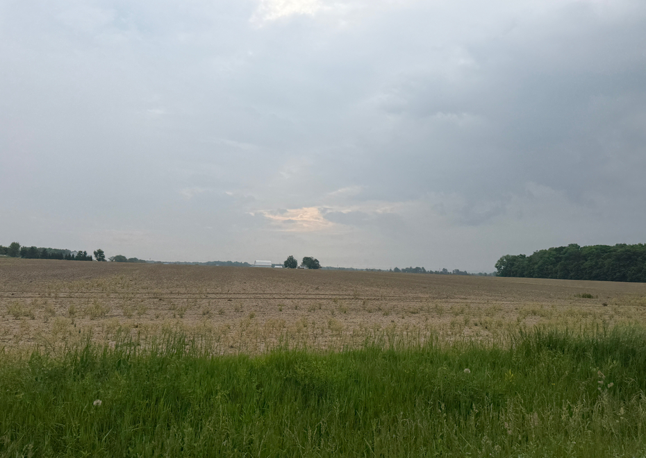 IMG 7455
