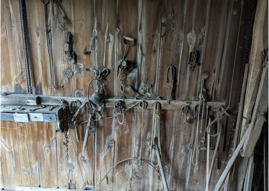 PXL 20220323 162435201